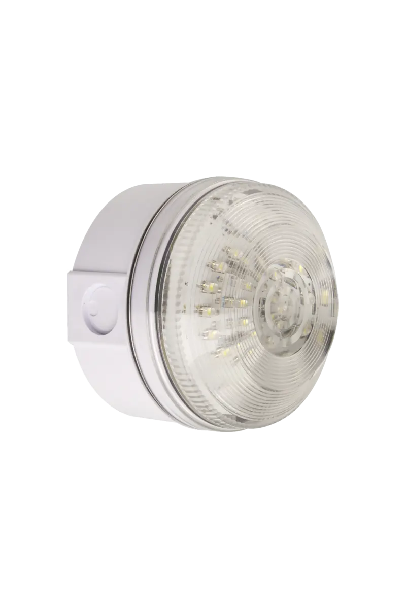 X195 - Beacon - Image 7