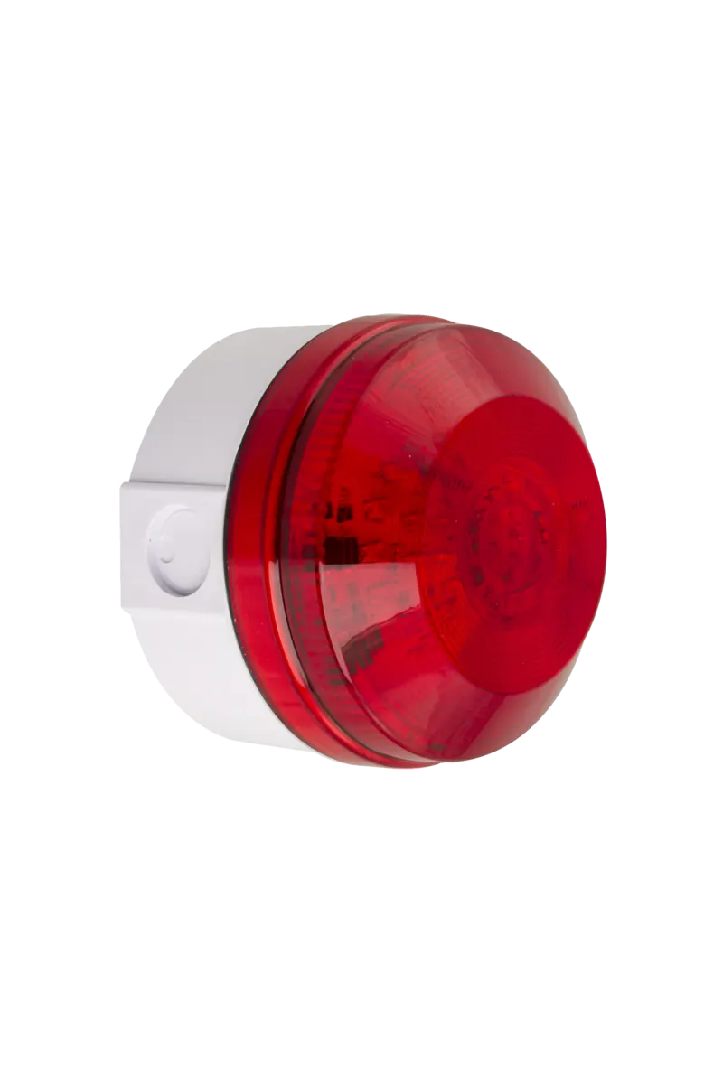 X195 - Beacon - Image 4
